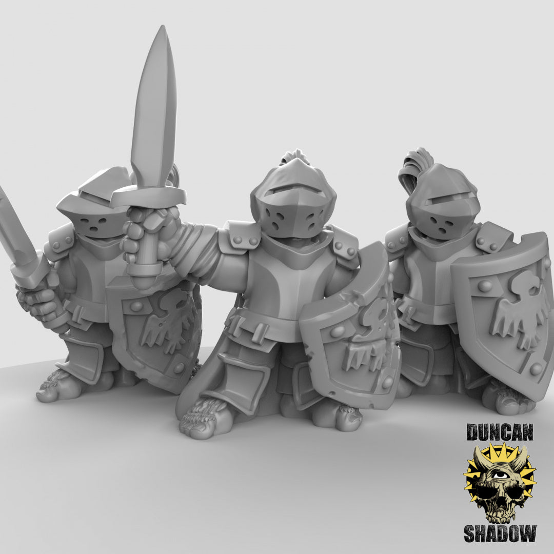 Paladines medianos | Sombra de Duncan | Compatible con Dragones y Mazmorras y Pathfinder