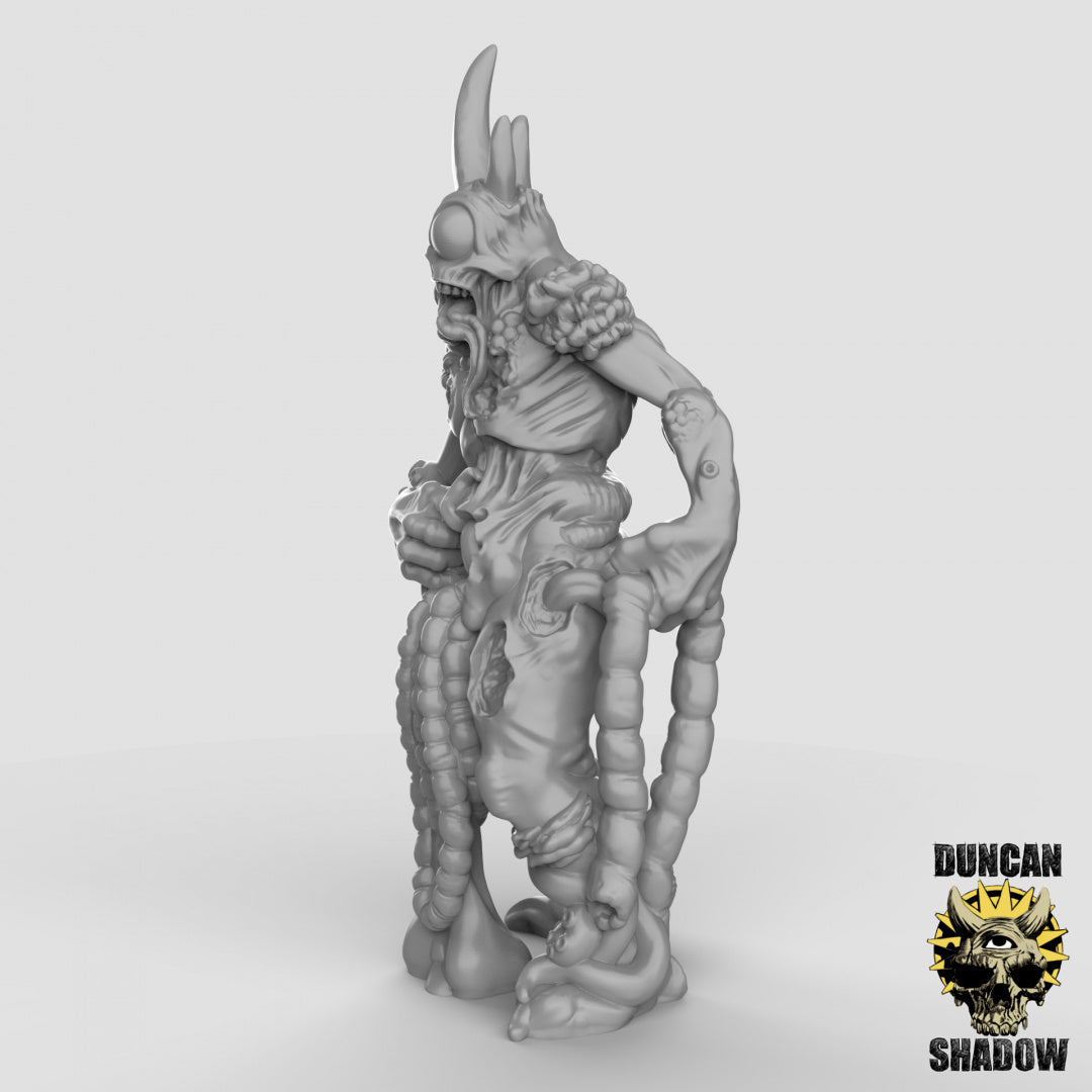 Plague Demons Walkers | Duncan Shadow | Kompatibel mit Dungeons & Dragons und Pathfinder