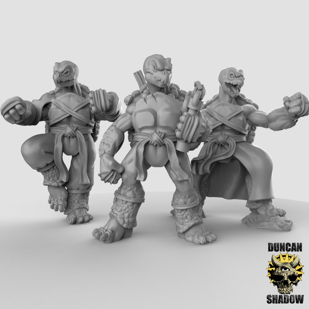 Monjes populares tortuga Tortol | Sombra de Duncan | Compatible con Dragones y Mazmorras y Pathfinder