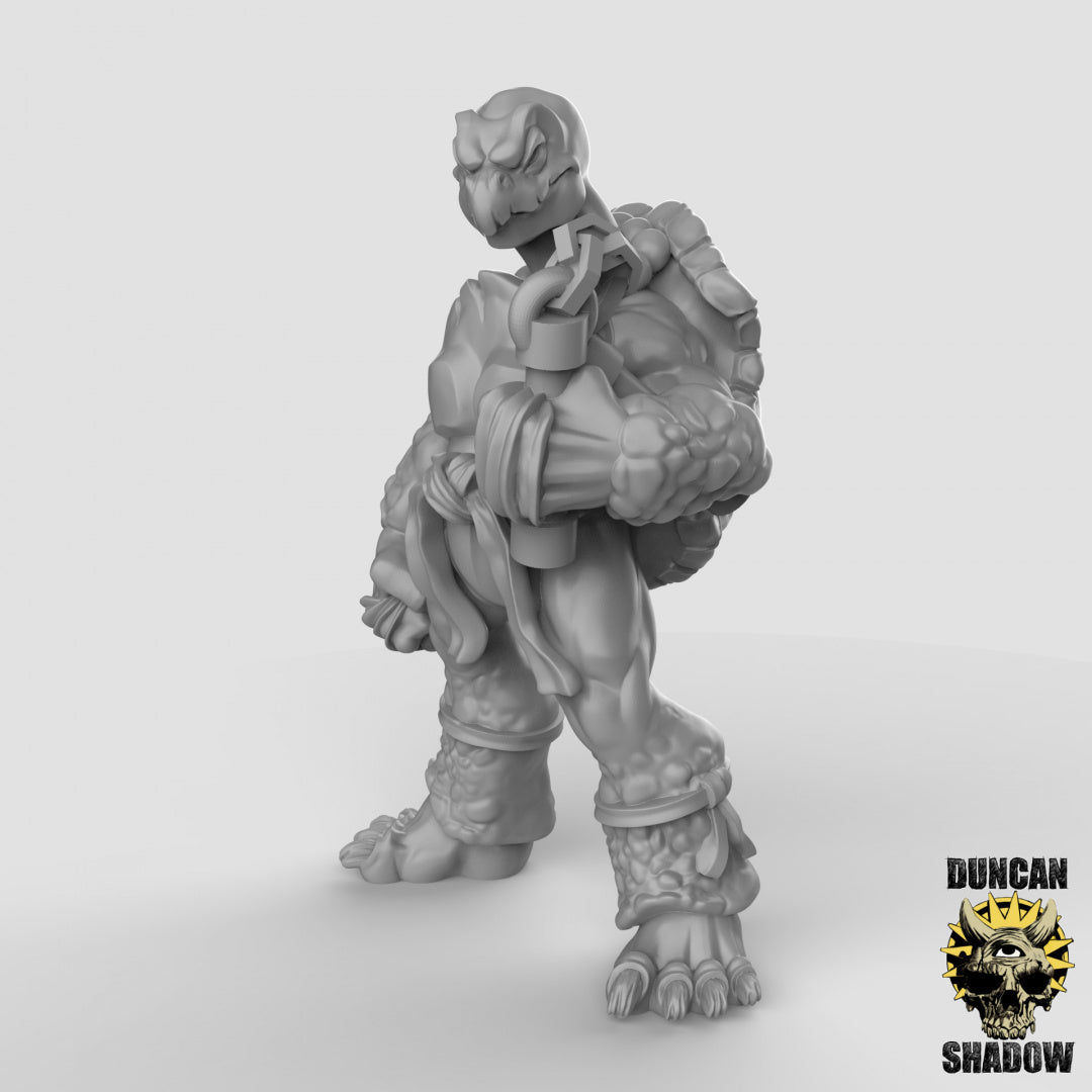 Tortol Turtle Folk Mönche | Duncan Shadow | Kompatibel mit Dungeons & Dragons und Pathfinder