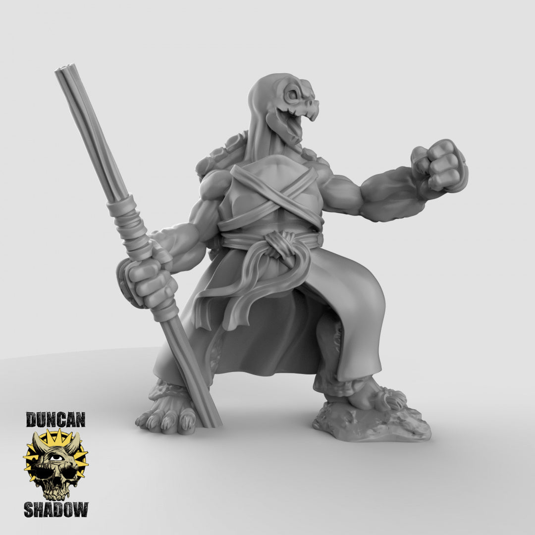 Tortol Turtle Folk Mönche | Duncan Shadow | Kompatibel mit Dungeons & Dragons und Pathfinder