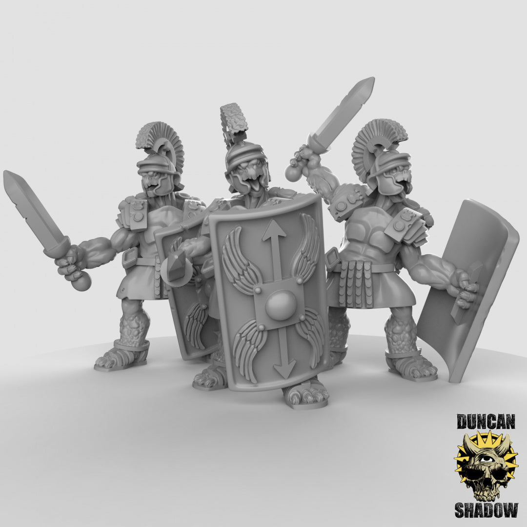 Luchadores populares de tortugas Tortol | Sombra de Duncan | Compatible con Dragones y Mazmorras y Pathfinder
