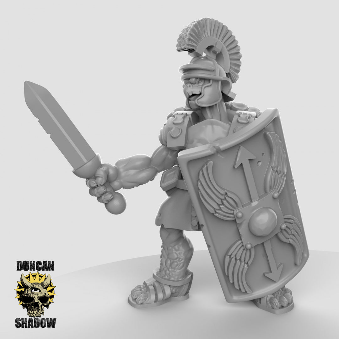 Tortol Turtle Folk Fighters | Duncan Shadow | Compatible with Dungeons & Dragons and Pathfinder