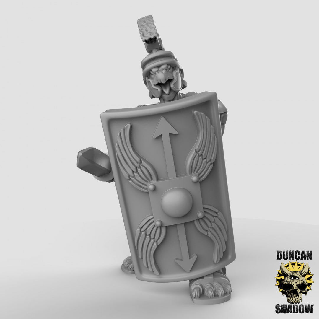 Tortol Turtle Folk Fighters | Duncan Shadow | Compatible with Dungeons & Dragons and Pathfinder