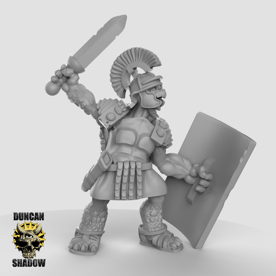 Tortol Turtle Folk Fighters | Duncan Shadow | Compatible with Dungeons & Dragons and Pathfinder
