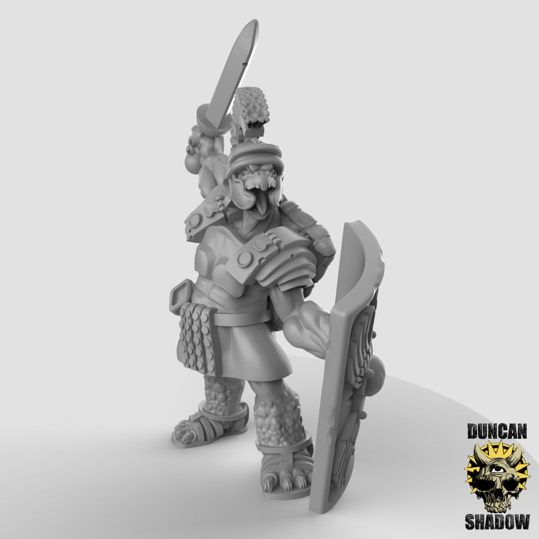 Tortol Turtle Folk Fighters | Duncan Shadow | Compatible with Dungeons & Dragons and Pathfinder