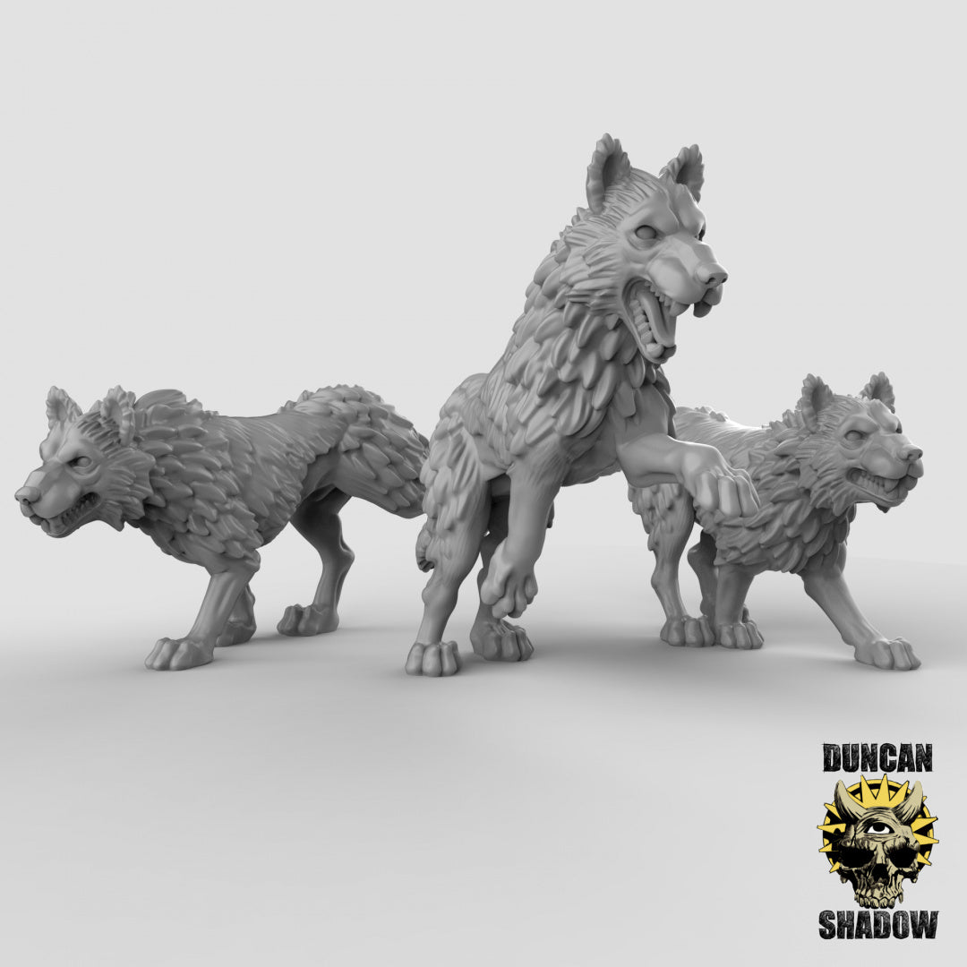 Lobos | Sombra de Duncan | Compatible con Dragones y Mazmorras y Pathfinder