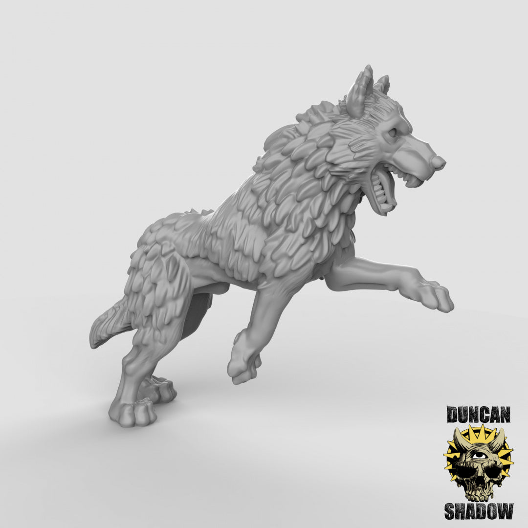 Wolves | Duncan Shadow | Compatible with Dungeons & Dragons and Pathfinder