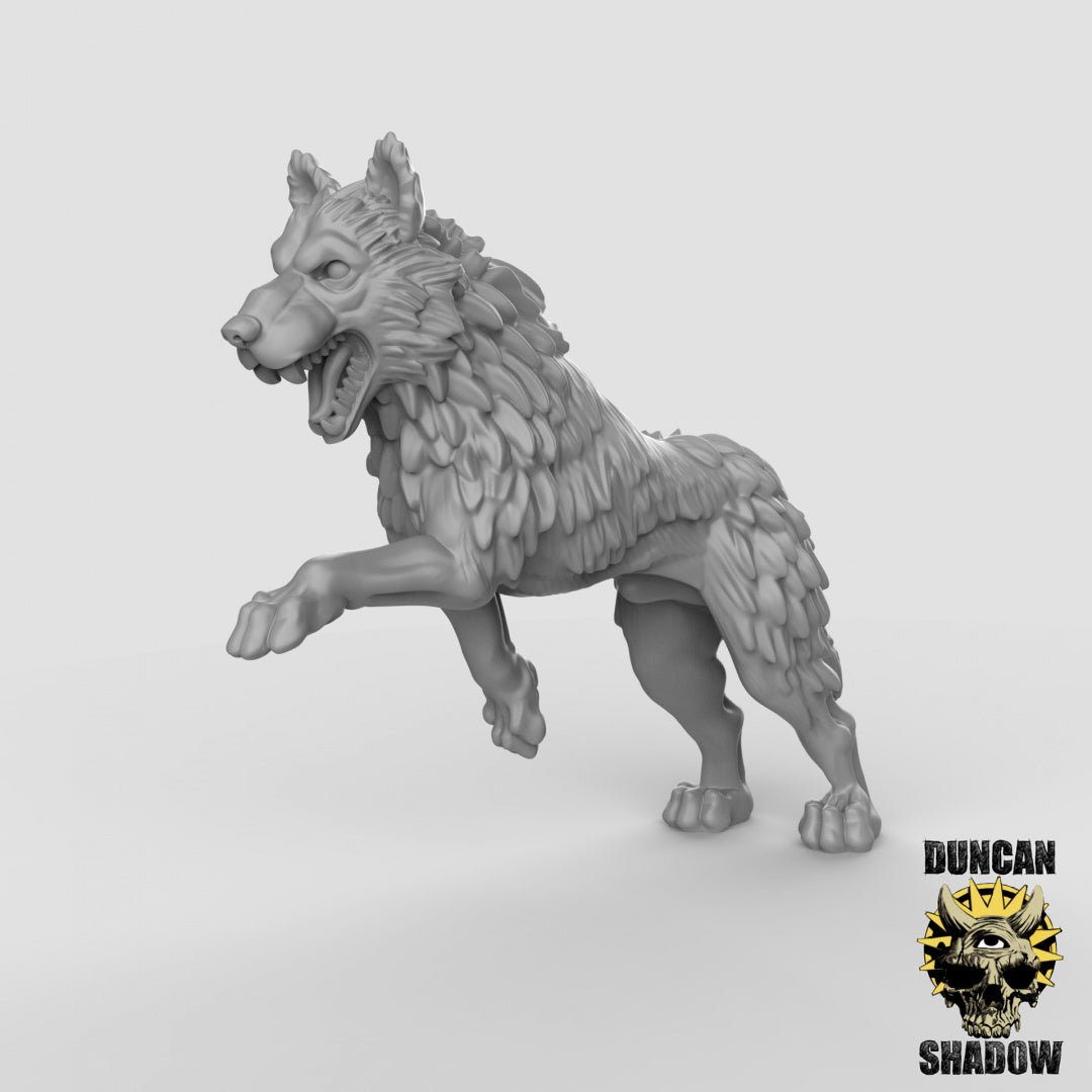 Wolves | Duncan Shadow | Compatible with Dungeons & Dragons and Pathfinder