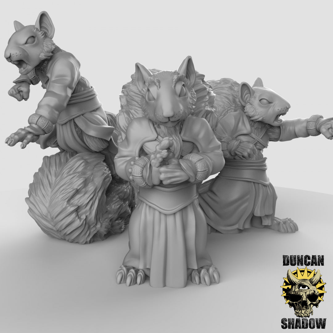 Monjes populares ardilla Scurryni | Sombra de Duncan | Compatible con Dragones y Mazmorras y Pathfinder