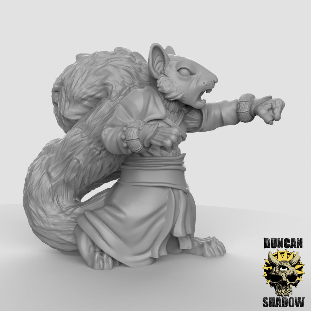 Scurryni Squirrel Folk Monks | Duncan Shadow | Compatible with Dungeons & Dragons and Pathfinder