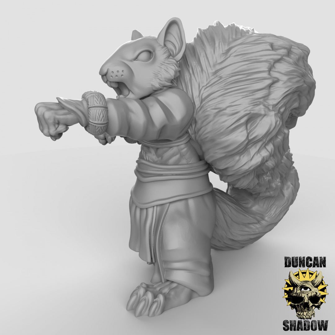Scurryni Squirrel Folk Monks | Duncan Shadow | Compatible with Dungeons & Dragons and Pathfinder
