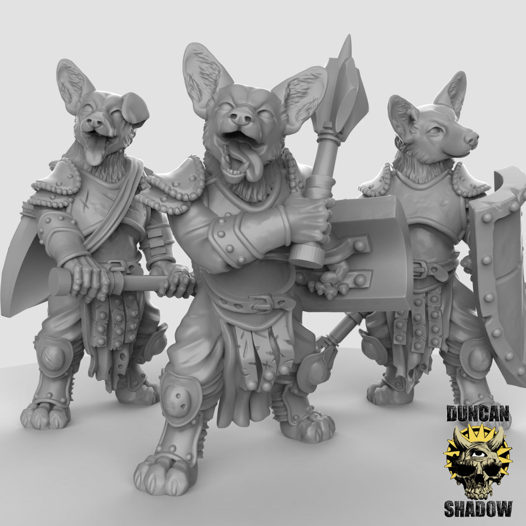 Luchadores Corgi con escudos | Sombra de Duncan | Compatible con Dragones y Mazmorras y Pathfinder