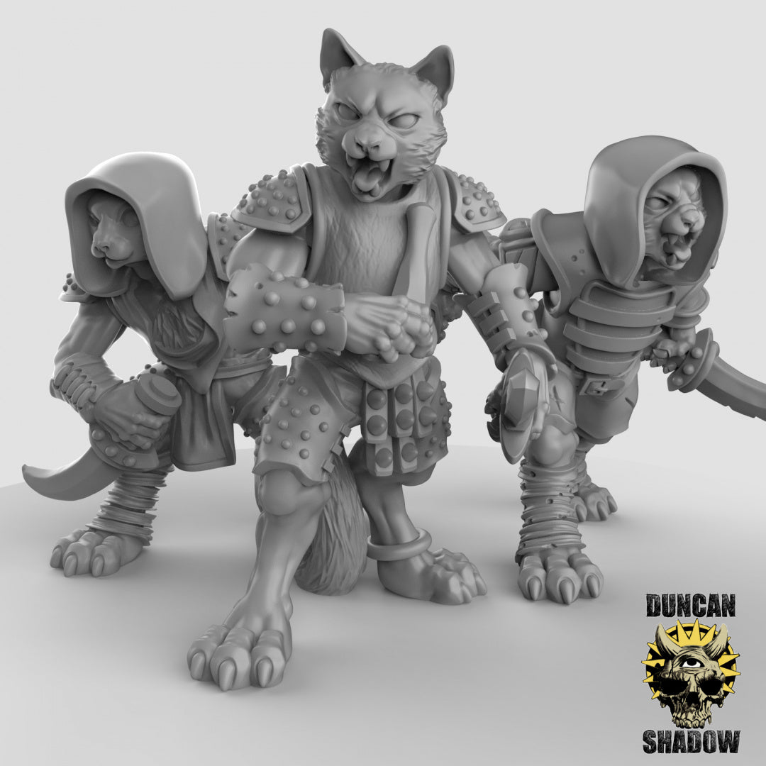 Bandidos populares de gatos | Sombra de Duncan | Compatible con Dragones y Mazmorras y Pathfinder