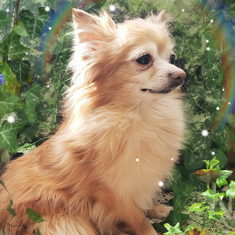 Imperial Guard: Nommissar Cheese | Reptilian Overlords | 28mm