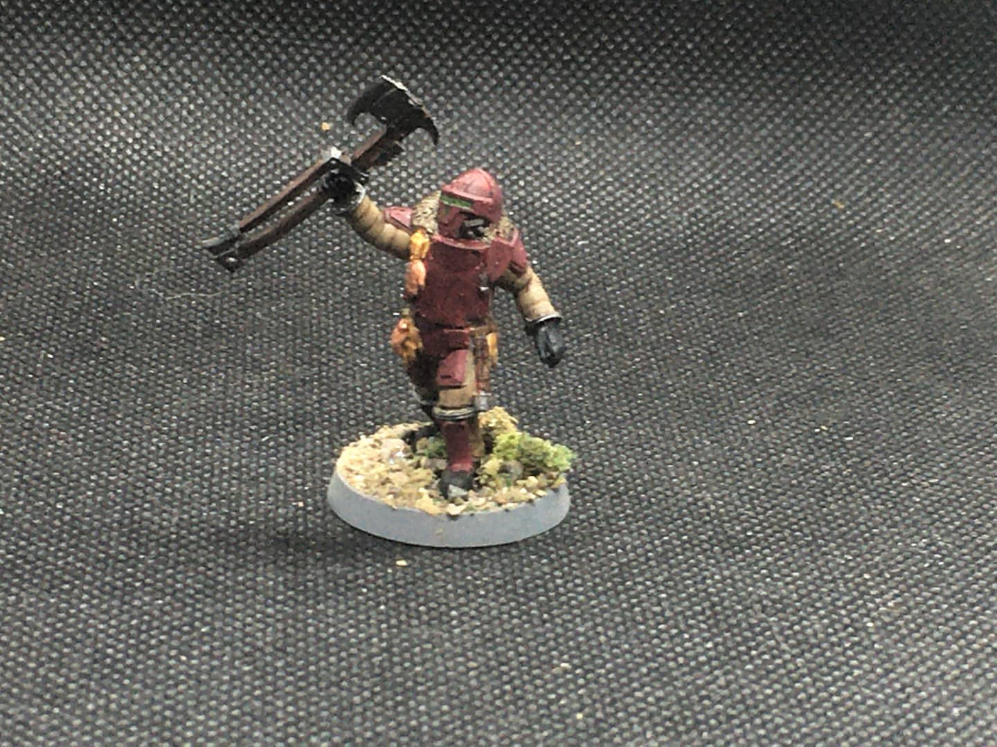 Auxiliares lunares: cohorte Securis