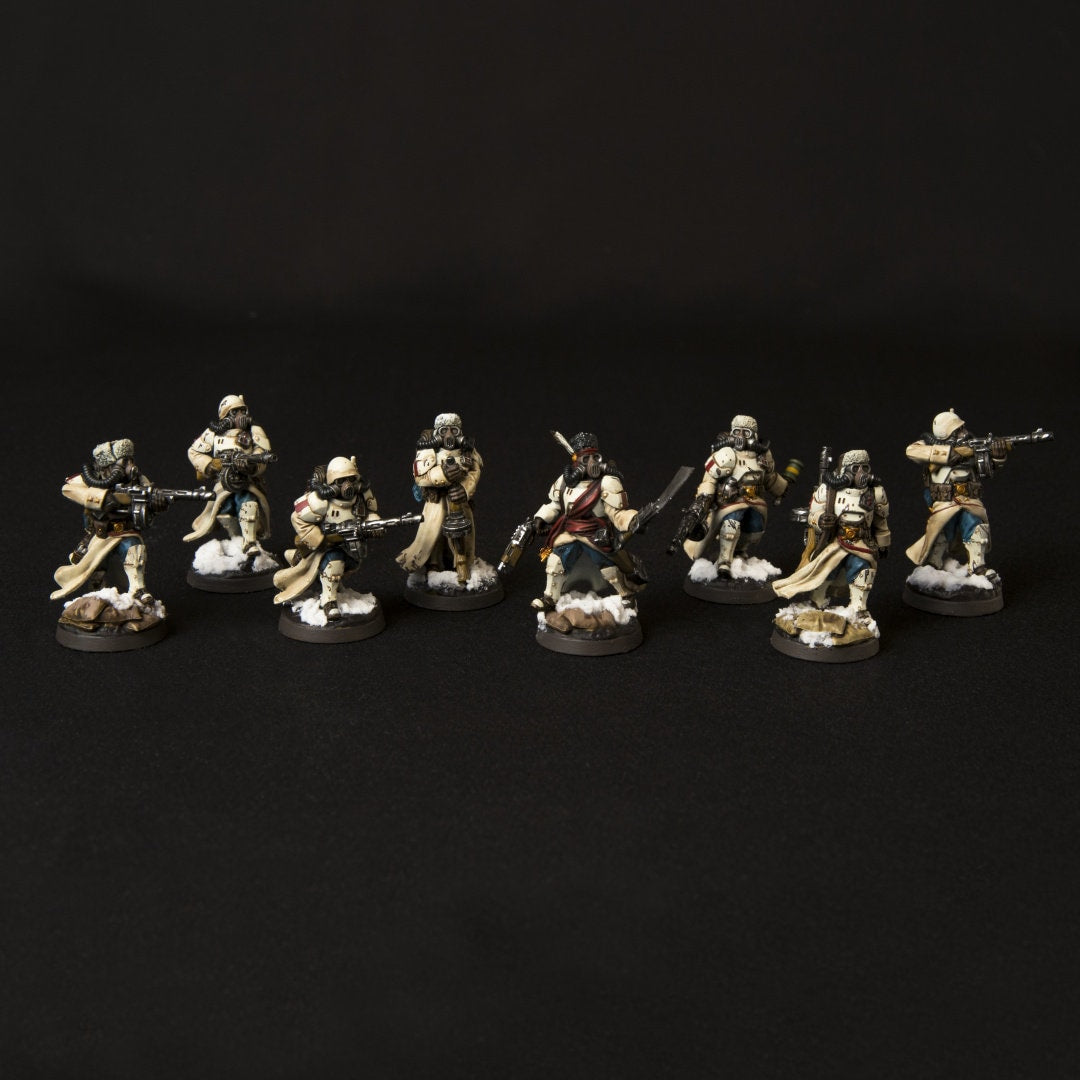 Pelotón de Compañeros Grim | Guerreros de hielo de Altirvun | Miniaturas de historia
