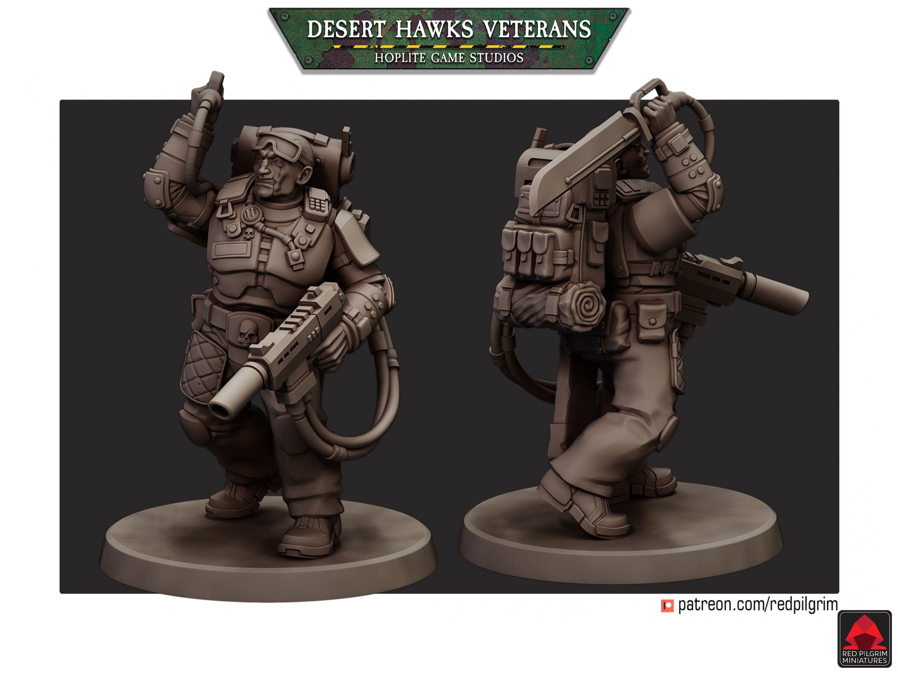 Veteranos de los Halcones del Desierto | Miniaturas de Red Pilgrim | 28 mm