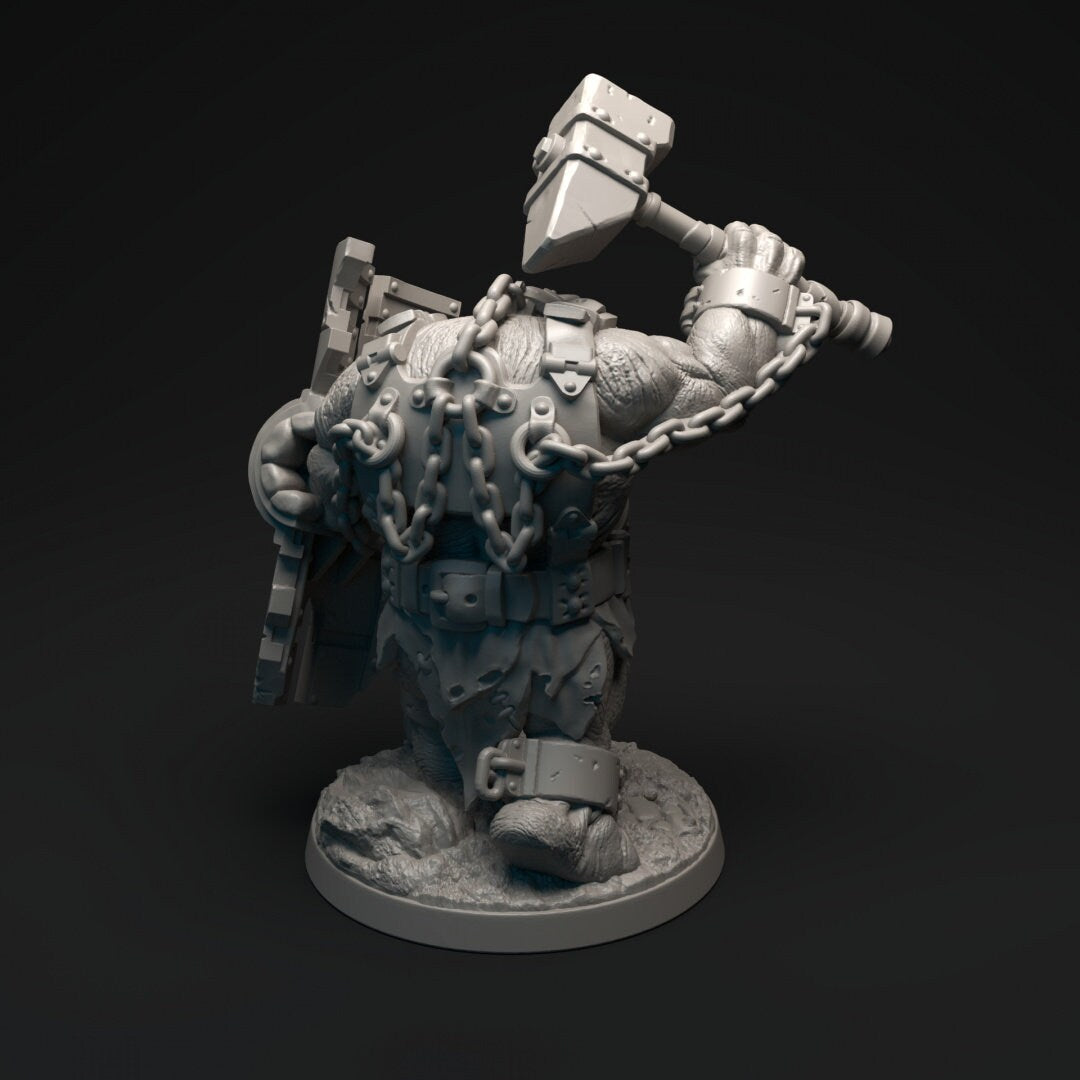 Tyrant Shock Troops | Altirvun Ice Warriors | Lore Miniatures