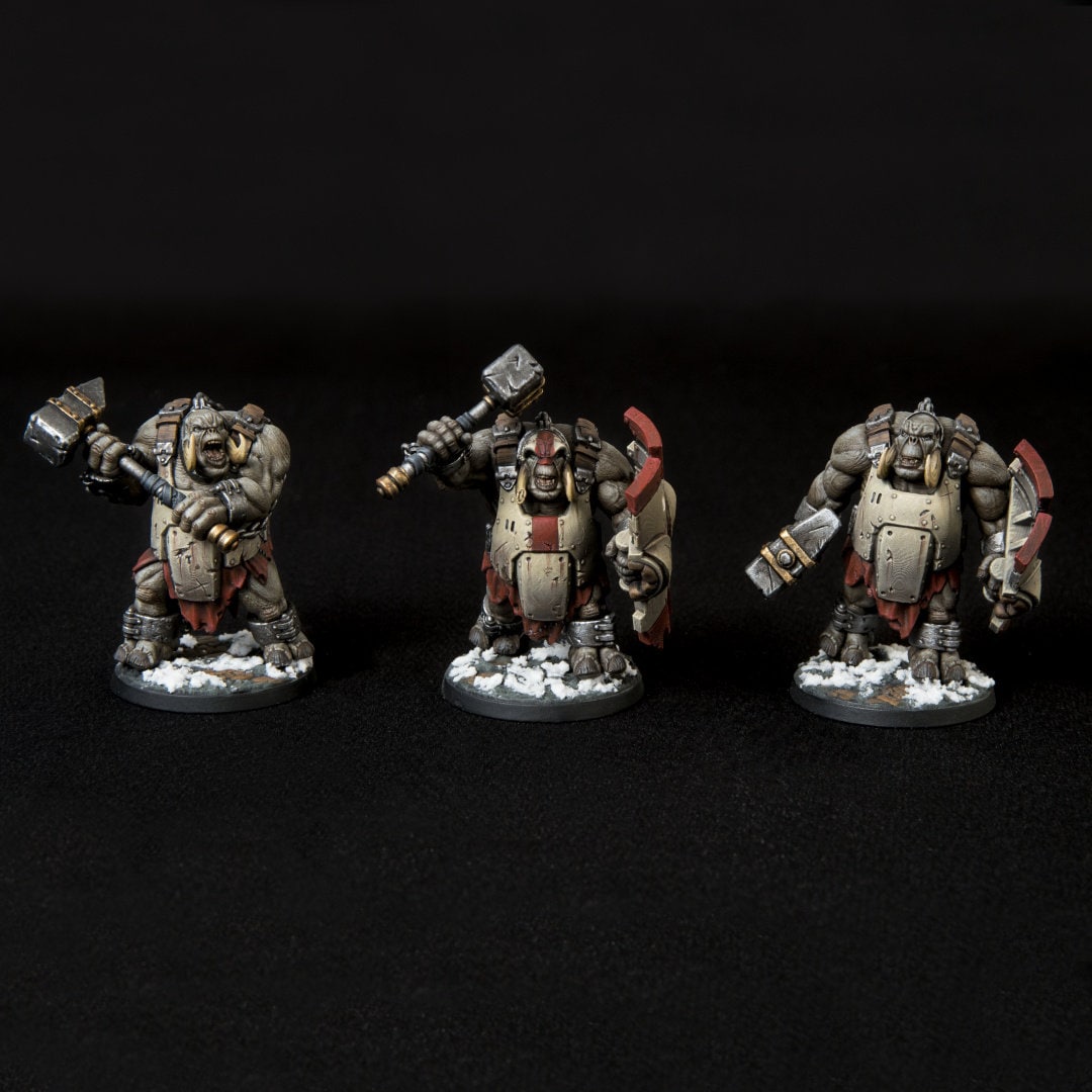 Tropas de Choque Tiranas | Guerreros de hielo de Altirvun | Miniaturas de historia