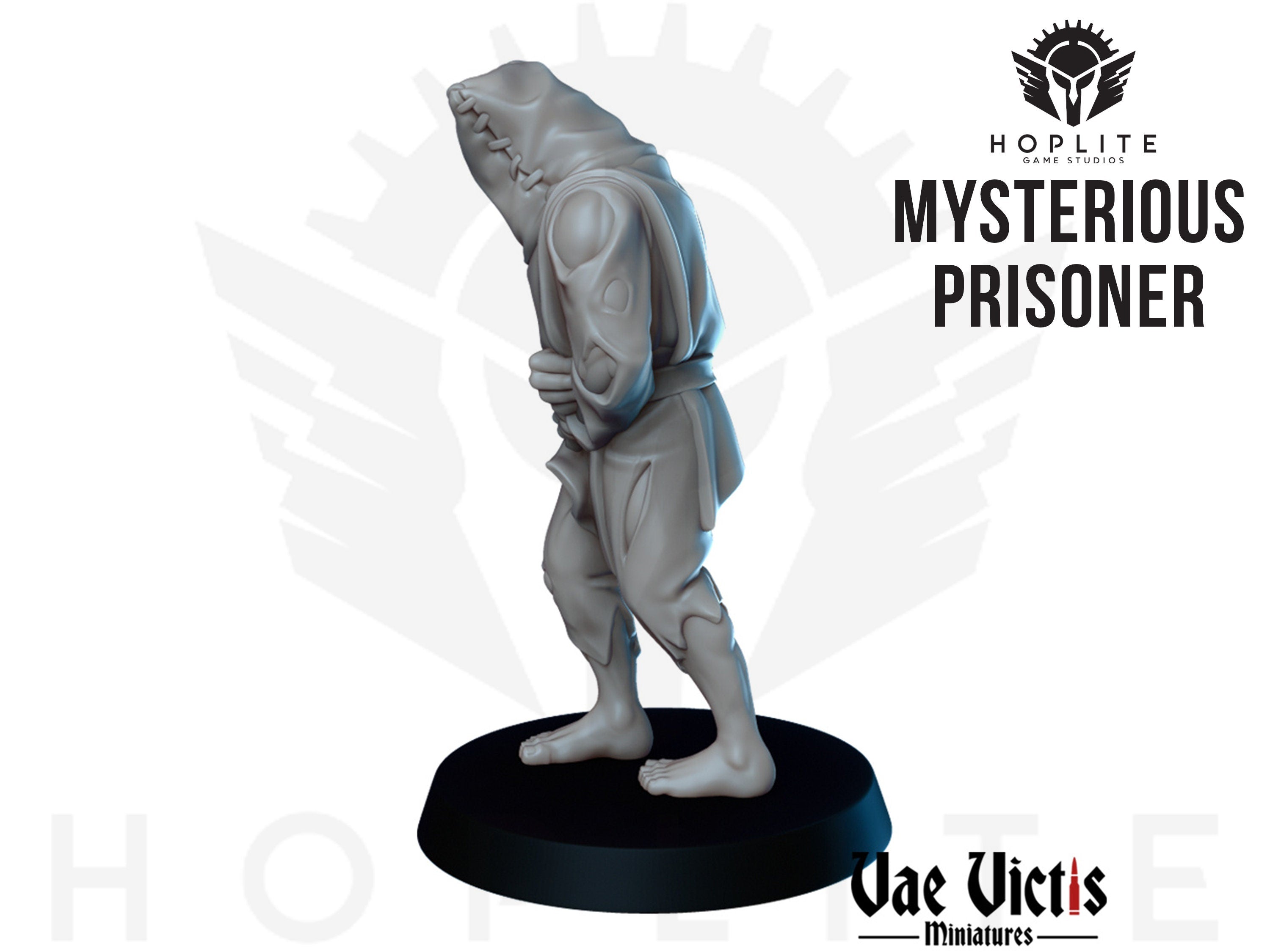 Mysterious Prisoner