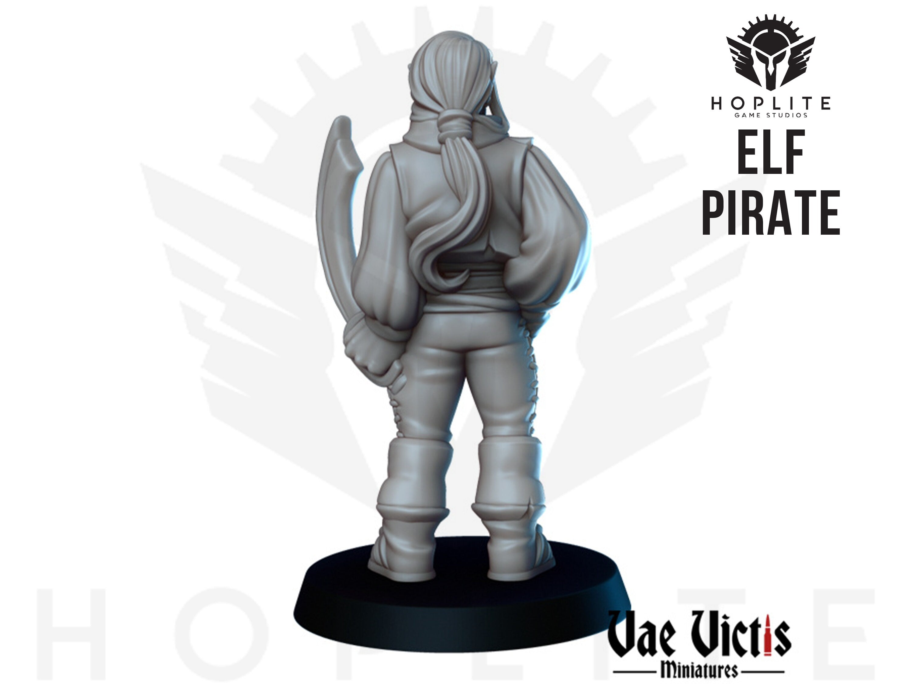 Elf Pirate