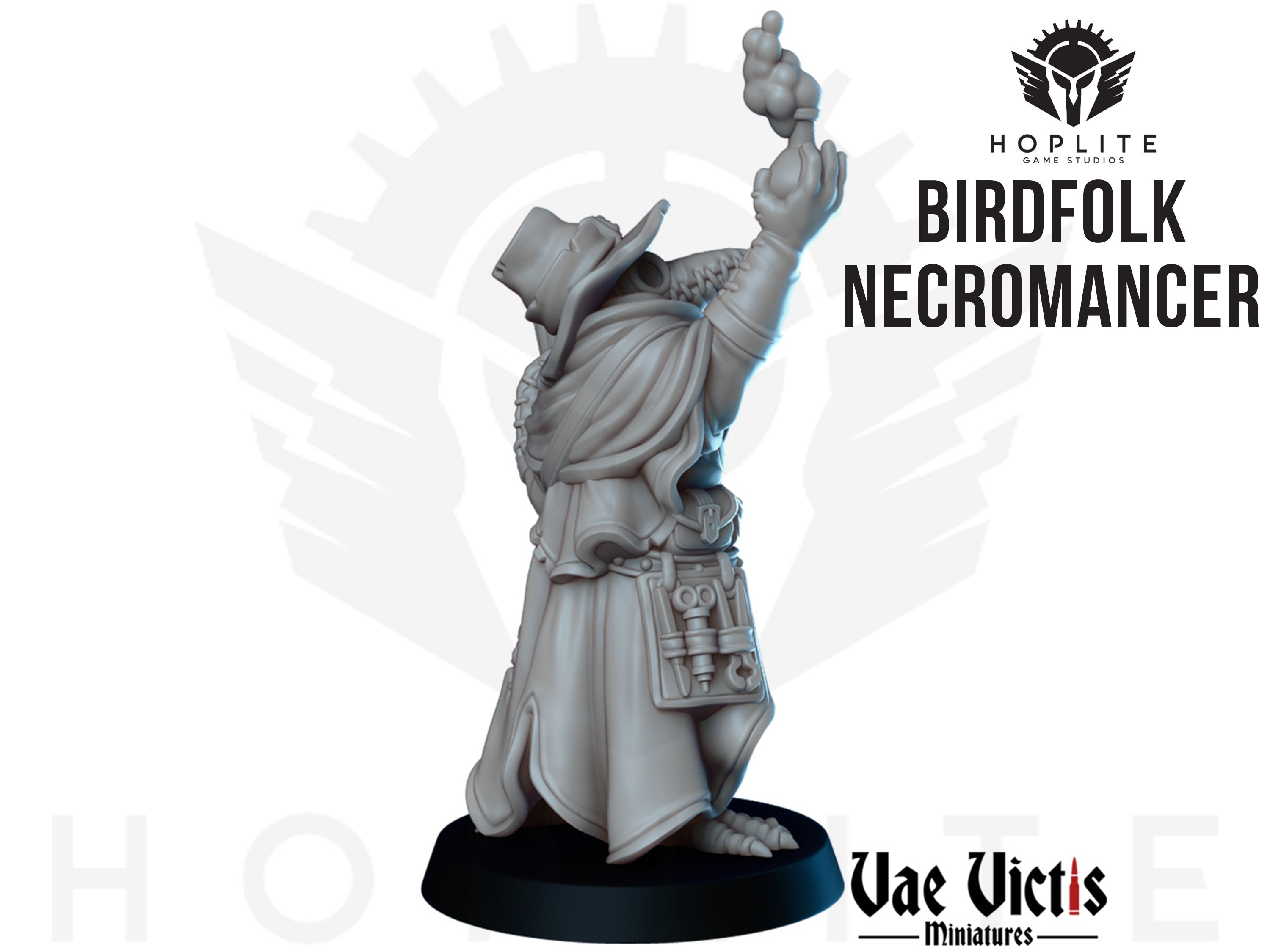 Birdfolk Kenku Necromancer
