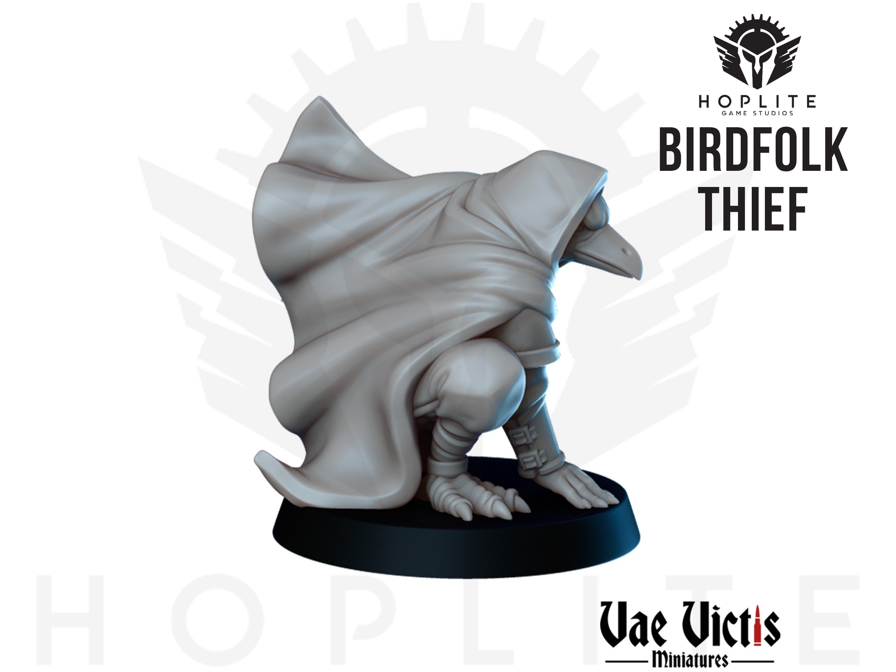 Birdfolk Kenku Thief