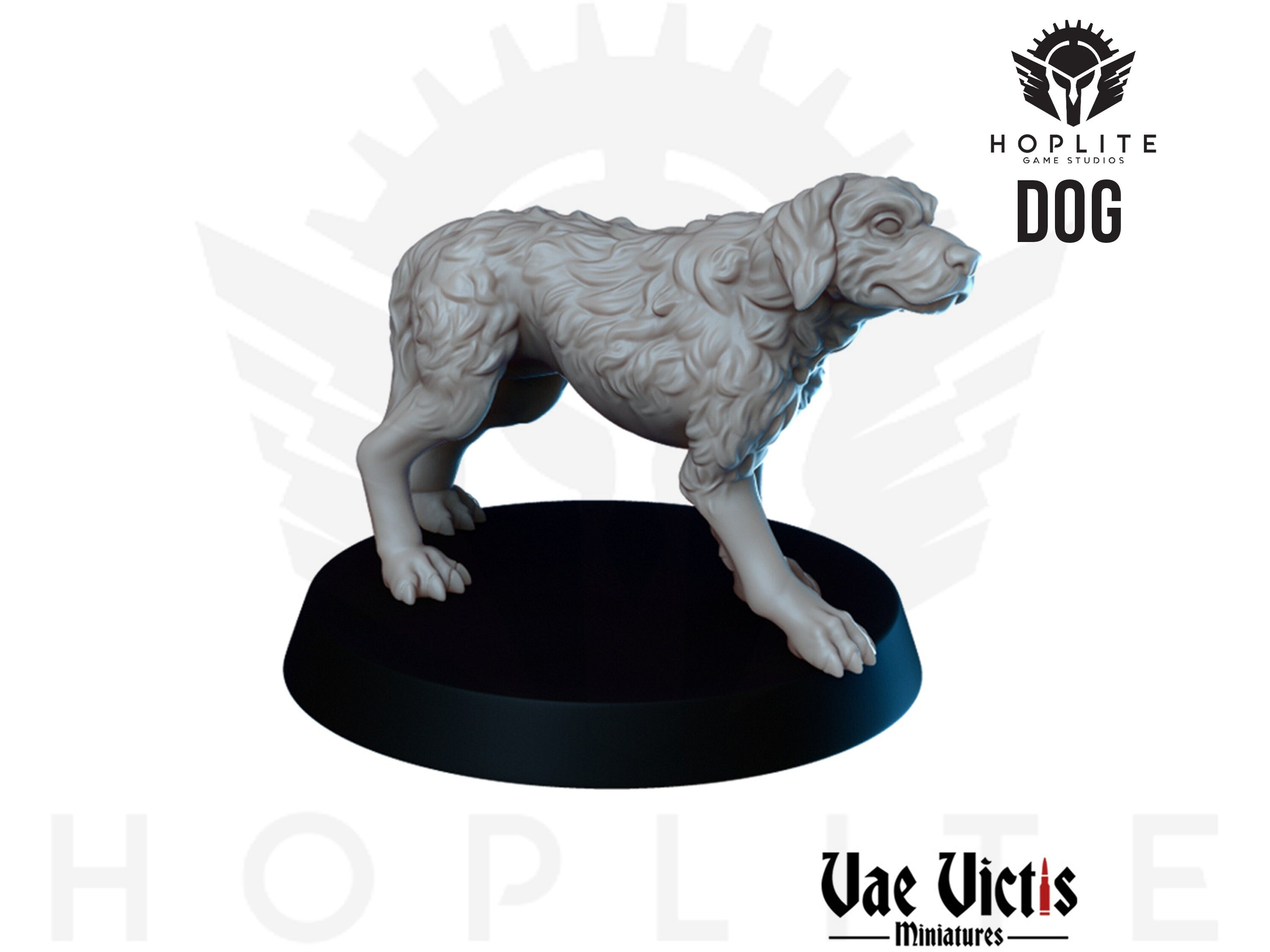 Perro