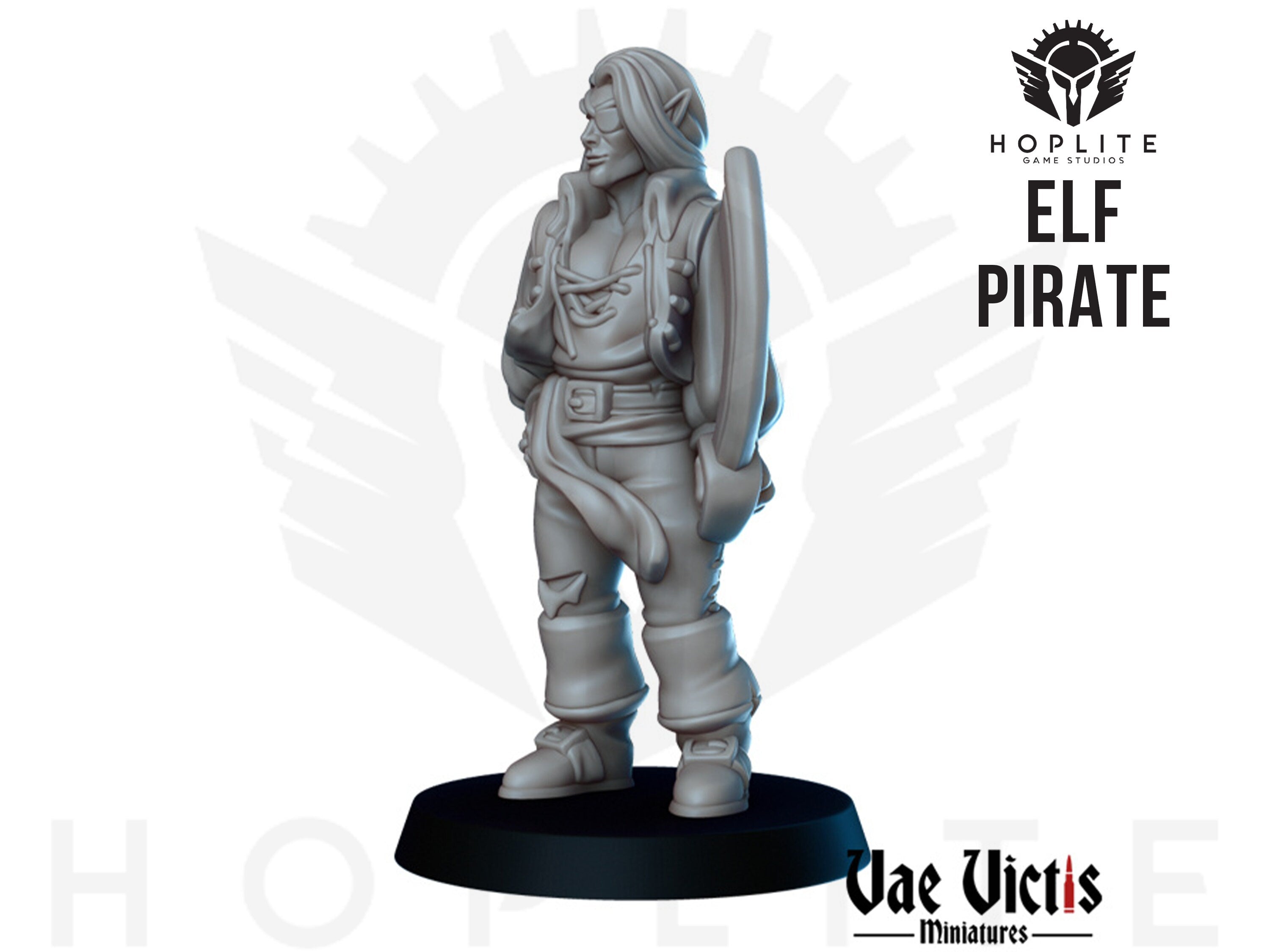 Elf Pirate