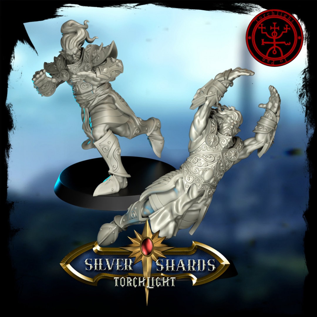 The Silver Shards - High Elf Fantasy Football Team - 14 Players - Torchlight Models