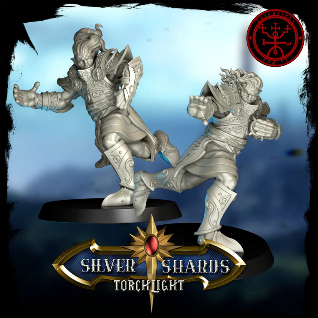 The Silver Shards - High Elf Fantasy Football Team - 14 Players - Torchlight Models