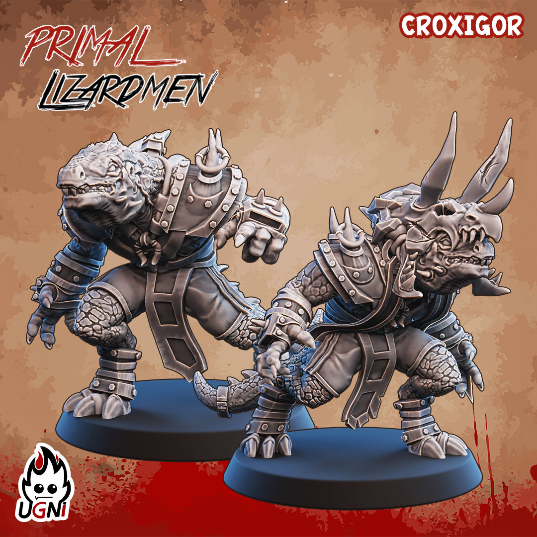 Primal Lizardmen Team (16 Players)