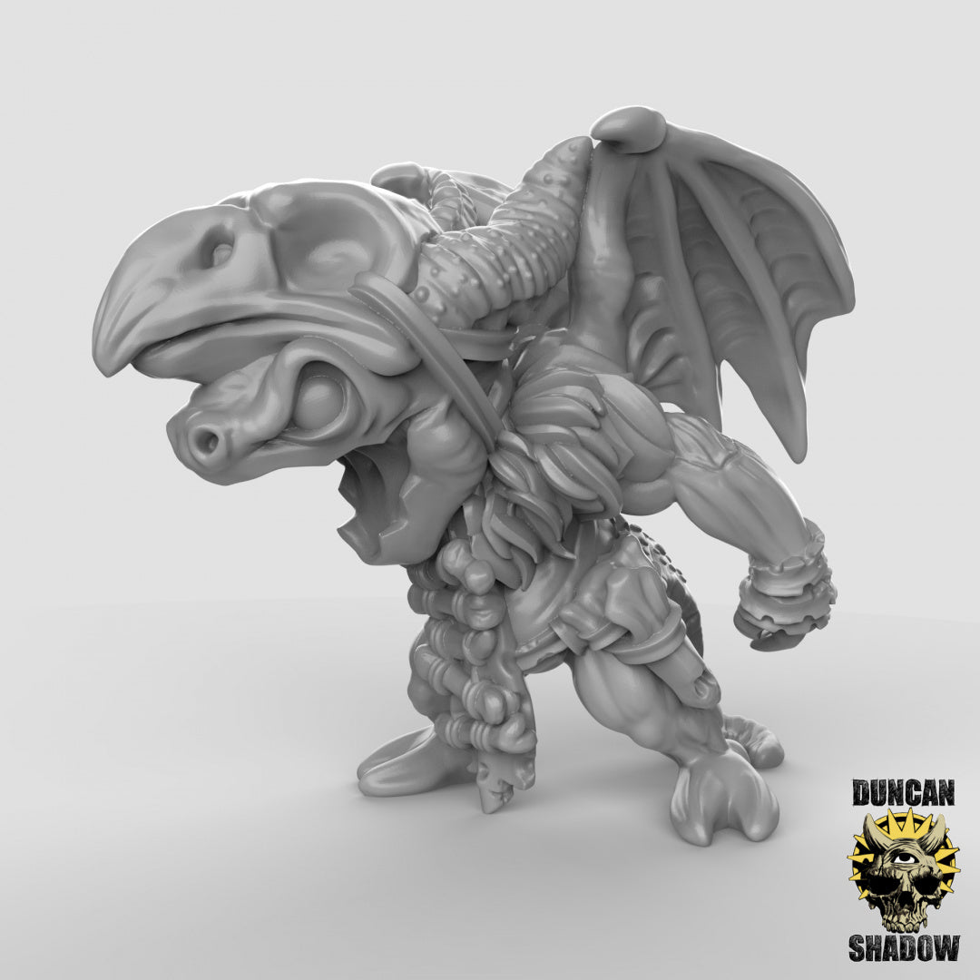 Kobold-Schamane mit geflügeltem Drachen | Duncan Shadow | Kompatibel mit Dungeons &amp; Dragons und Pathfinder