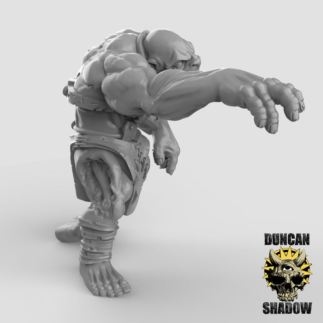 Orc Zombies  | Duncan Shadow | Compatible with Dungeons & Dragons and Pathfinder