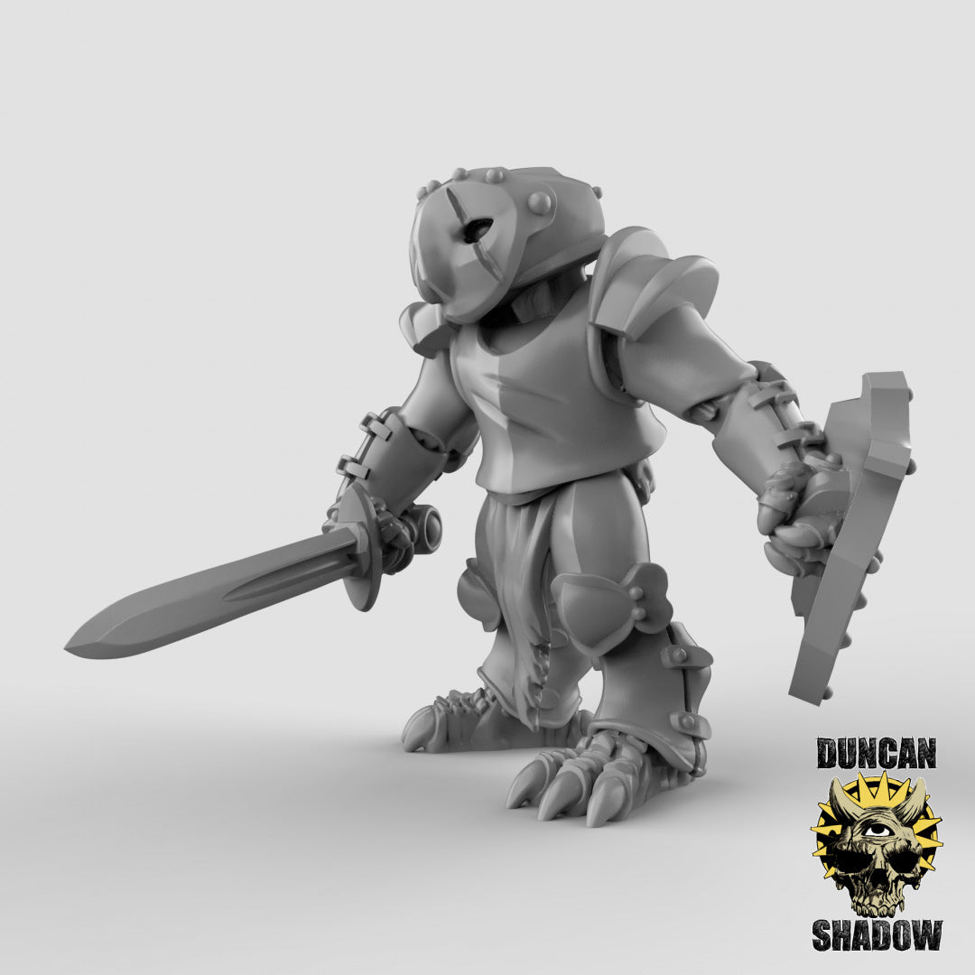 Owl Folk Armored With Swords | Duncan Shadow | Compatible with Dungeons & Dragons and Pathfinder