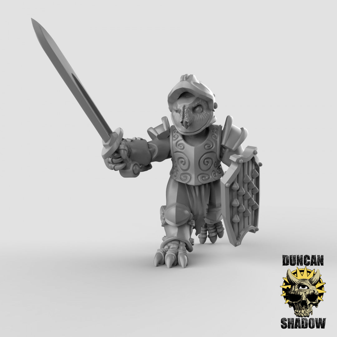 Owl Folk Armored With Swords | Duncan Shadow | Compatible with Dungeons & Dragons and Pathfinder