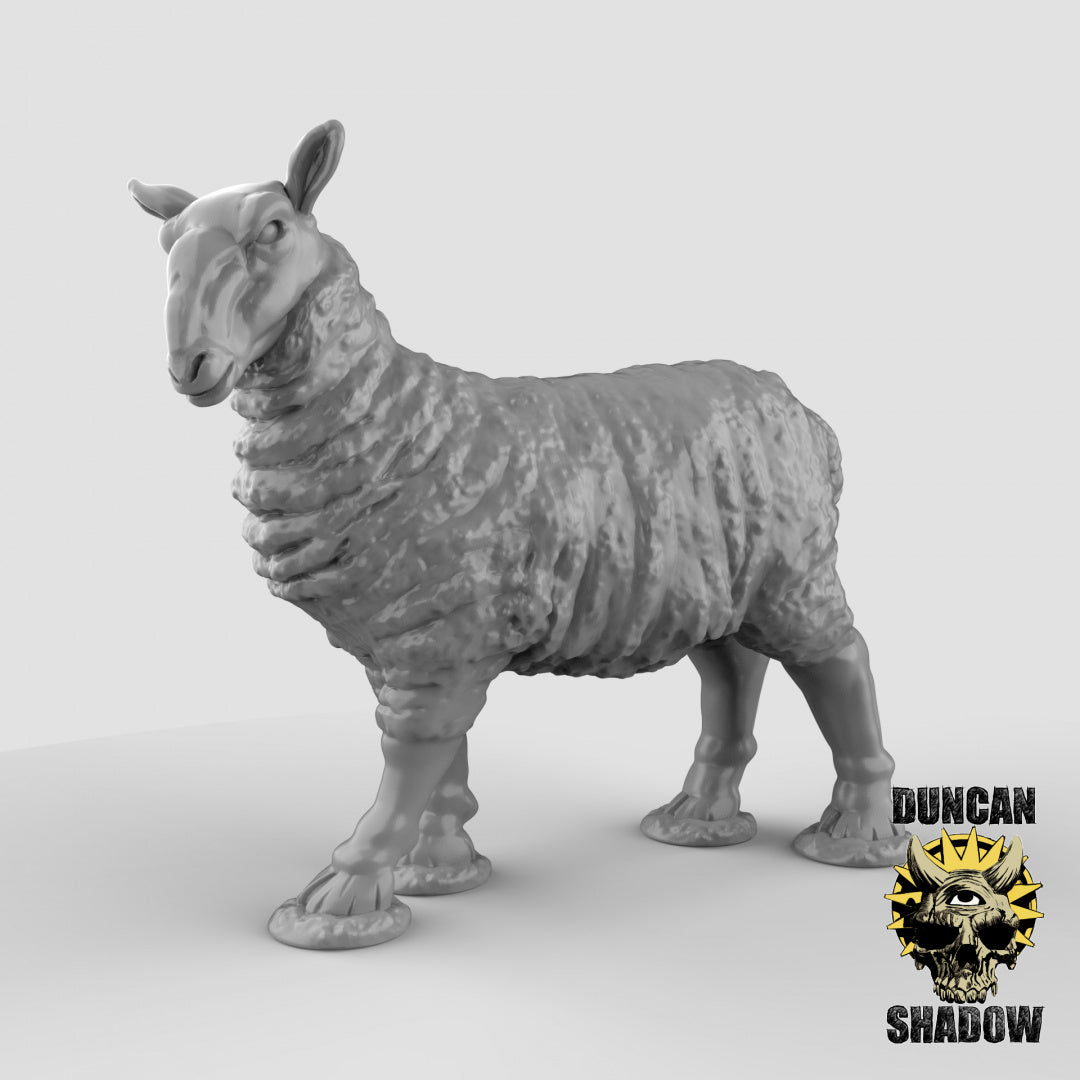 Sheep | Duncan Shadow | Compatible with Dungeons & Dragons and Pathfinder