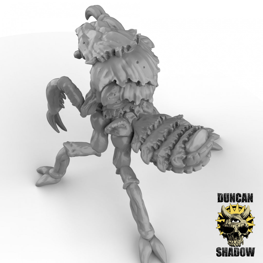 Xhkarsh Insectoid Beasts | Duncan Shadow | Compatible with Dungeons & Dragons and Pathfinder