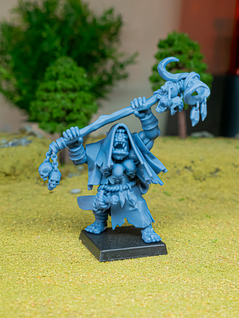 Orc Shamans (x2) - Orc & Goblin Tribes - | Highlands Miniatures