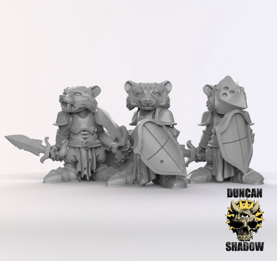 Raccoon Folk Knights | Duncan Shadow | Kompatibel mit Dungeons &amp; Dragons und Pathfinder