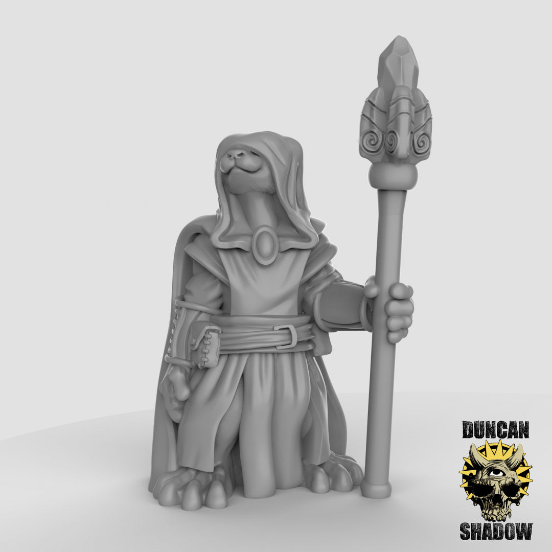 Otter Spellcasters | Duncan Shadow | Compatible with Dungeons & Dragons and Pathfinder