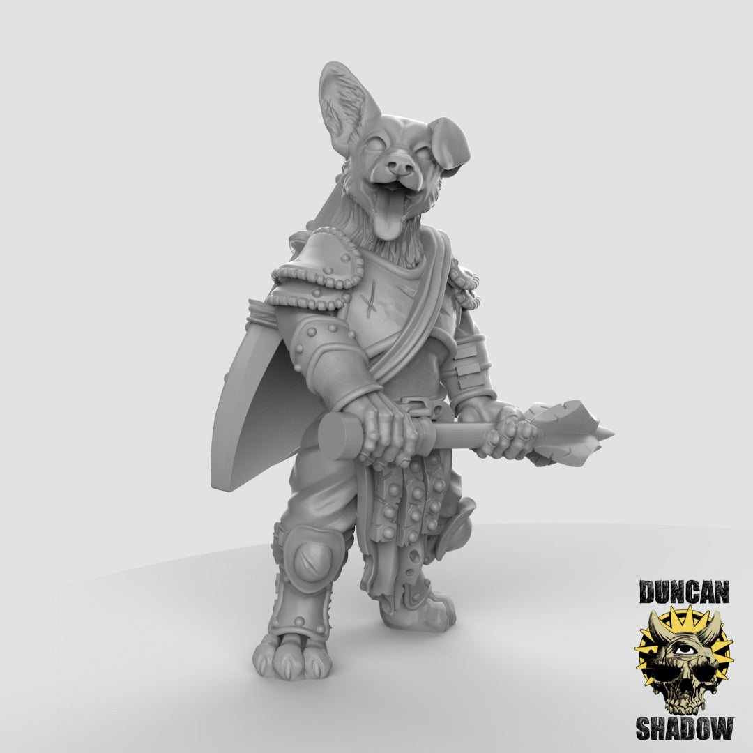 Corgi Fighters With Shields | Duncan Shadow | Compatible with Dungeons & Dragons and Pathfinder