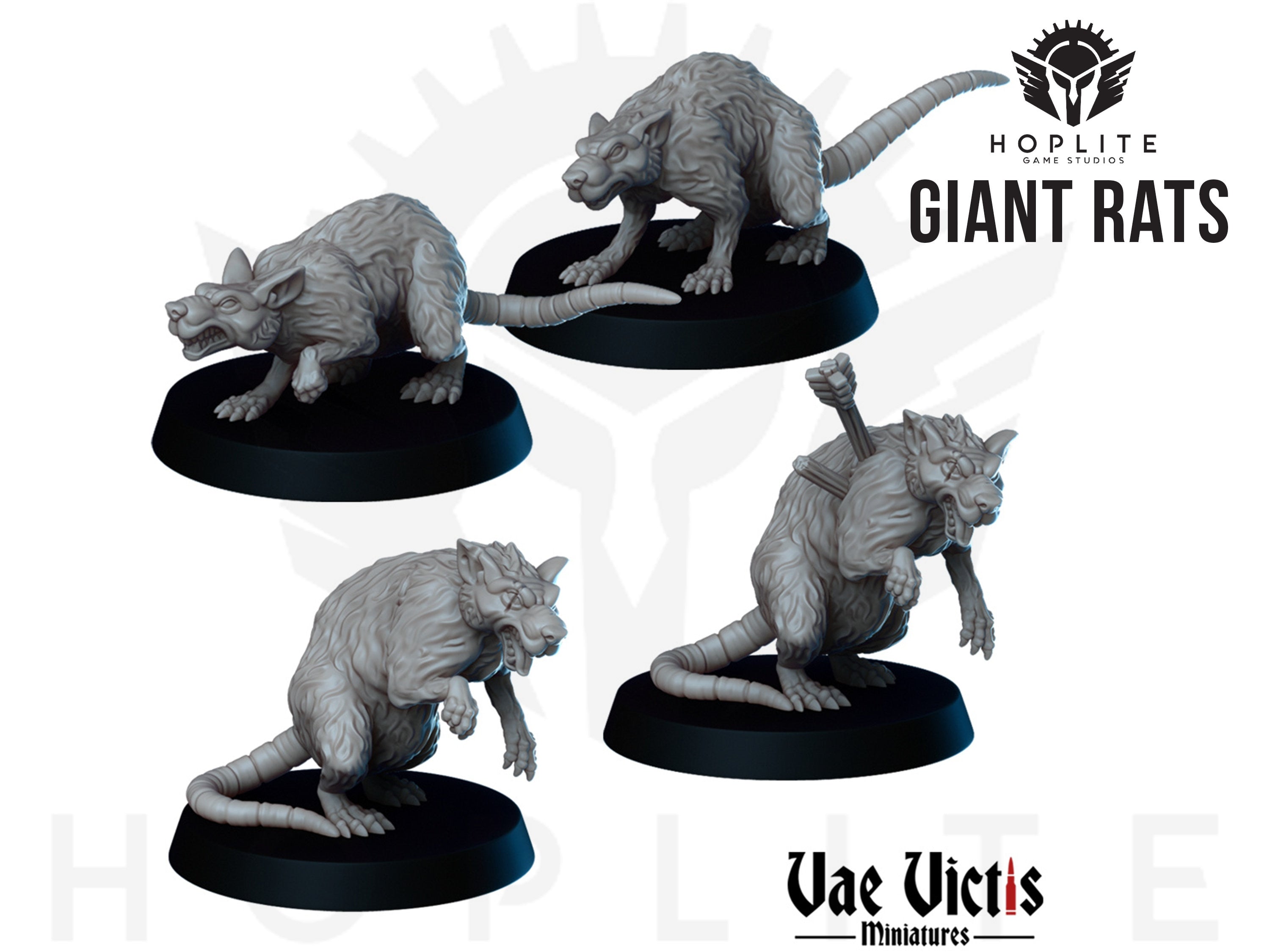 Giant Rats!