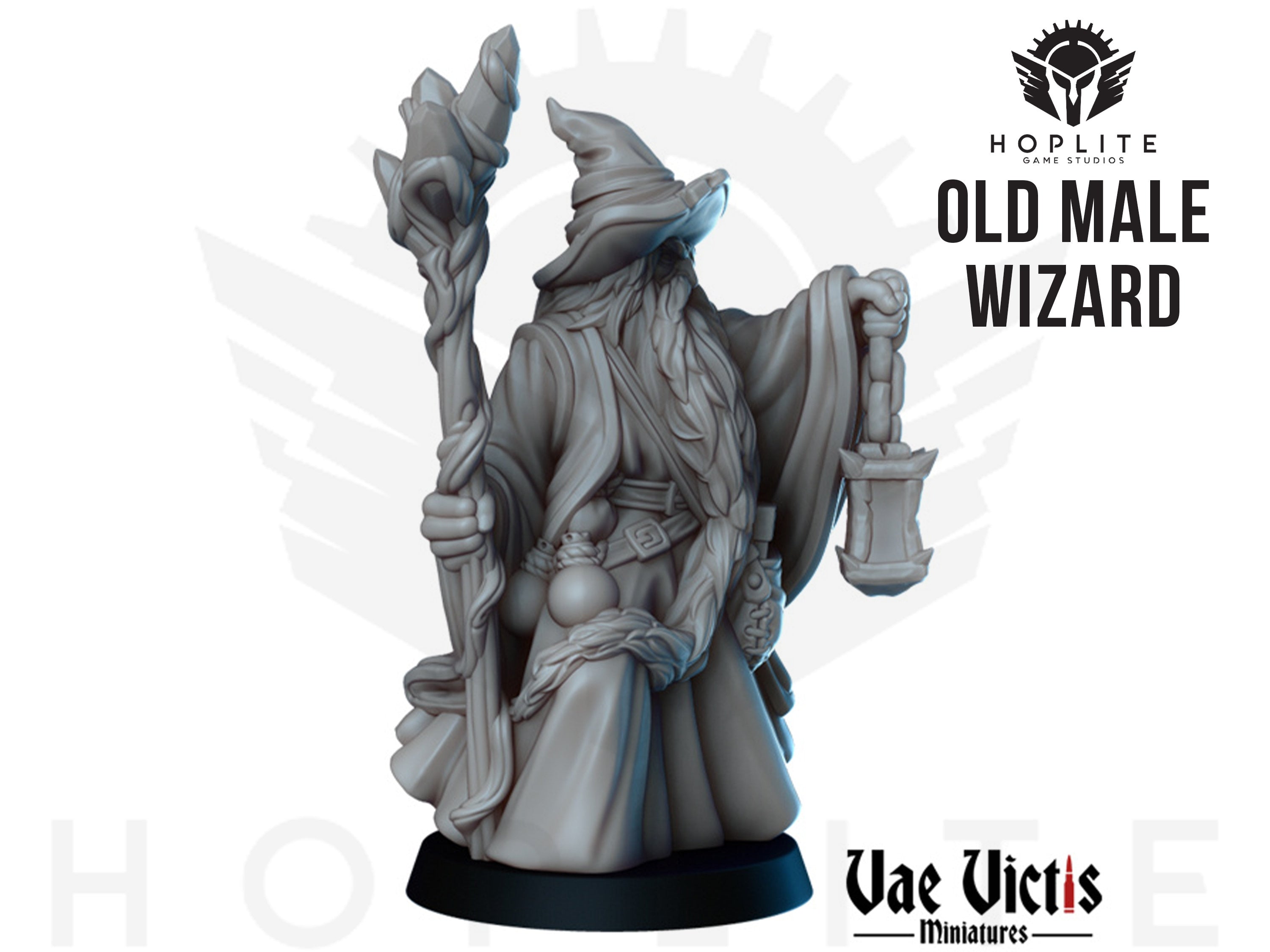Old Male Wizard