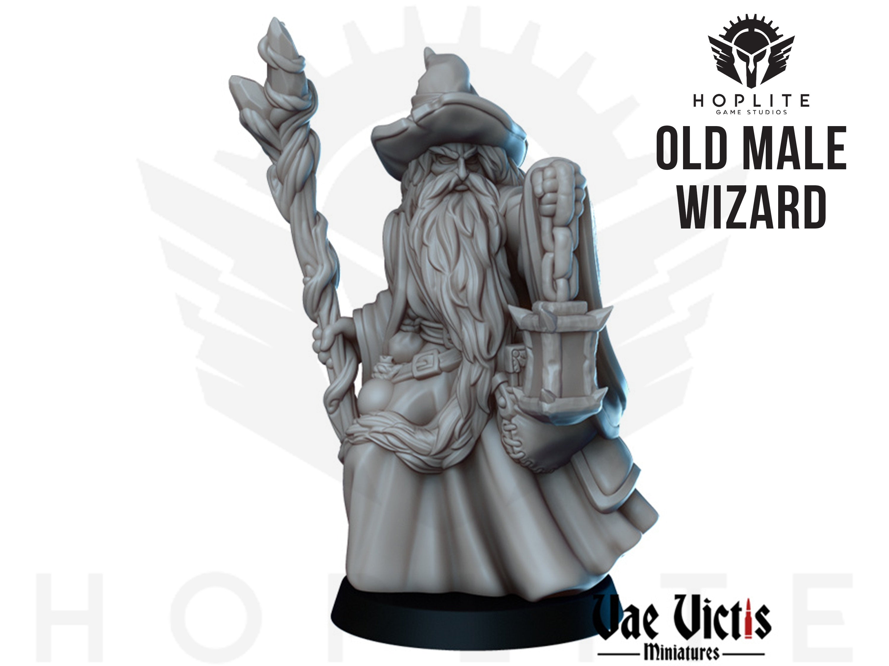 Old Male Wizard