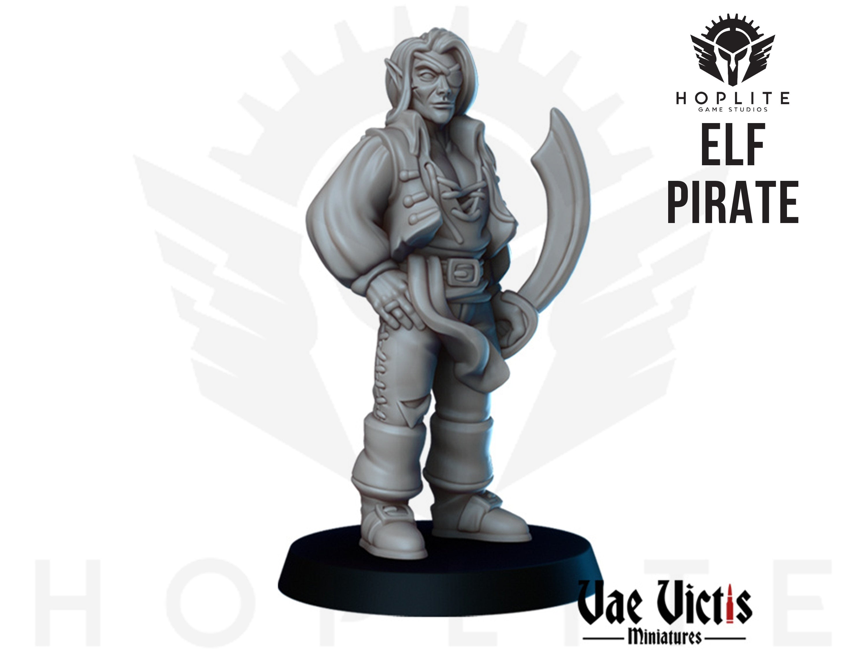 Pirata elfo